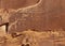 Wide array of petroglyphs at Canyon de Chelly, Arizona