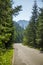 Wide asphalted road leading through the forest to mountains. Natural mountain scenery, summer landscape.