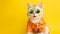 Wide banner of portrait of meowing white British cat wearing sunglasses and orange shirt on yellow background in studio.