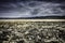 Wide beach,seaweed,North Wales,Anglesey,landscape Uk,low tide.