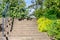 Wide cement stairs leading up a hillside in a sunny spring garden