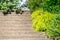 Wide cement stairs leading up a hillside in a sunny spring garden