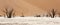 Wide-cropped view of the Deadvlei salt pan and petrified trees in the Sossusvlei Wildlife Reserve in Namibia.