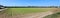 wide cultivated field of green lettuce