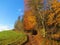 Wide dirt path leading past a meadow