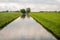 Wide ditch in a Dutch polder