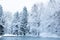 Wide empty panoramic background landscape with coastal forest on frozen lake in winter season, Munich, Germany