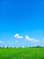 a wide expanse of grassland with blue skies and beautiful clouds