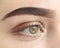 Wide eyebrow and green eye. A womans makeup