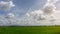 A wide famer agriculture land of rice plantation farm in planting season, green rice filed in water under beautiful white cloud