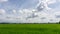 A wide famer agriculture land of rice plantation farm in planting season, green rice filed in water under beautiful white cloud