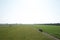 Wide field Green grass farmer tractor on road farm