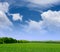 Wide Field of Green Grass, Forest and Blue Sky with Clouds
