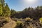 Wide footpath leading through spectacular volcanic landscape.