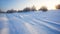 Wide forest glade in a snow at the sunset