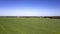 Wide forest and green endless field under clear blue sky