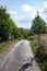 Wide forest path between trees in summer