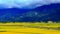 Wide golden rice fields ,rural scenery and mountains, cloudscapes