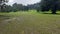 Wide grass field, Cianjur-Cibodas