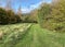 Wide grass pathway, leading past old trees in, Heaton Woods, Bradford, UK