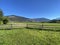 Wide grassy ranch field with a wooden fence, and a house and hills in the background on a sunny day