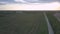 Wide green unharvested field and long highway against forest
