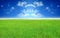 Wide image of green grass field and bright blue sky