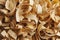 Wide italian pasta pappardelle background