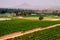 Wide landscape vinyard with mountain view in Thailand