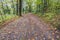 Wide leaf covered path through an autum forest