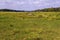 Wide meadow with a stream in the middle