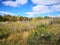 Wide meadows grass with yellow purple flowers in bright sunny day