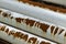 Wide metal pipes with white streaked and yellowed paint with a strip of strong brown rust,