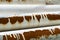 Wide metal pipes with white streaked and yellowed paint with a strip of strong brown rust,