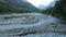 Wide mountain stream, rocks and woody debris in water, wildlife