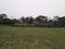 Wide open grass field in a rural area. Green grass field and green fresh tree plant perspective to copy space for multipurpose