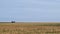 A wide open landscape, fields and horizon, with a horse drawn Amish buggy, Lancaster County, PA