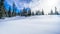 Wide open snowfields, snow covered trees and deep snow pack in the high alpine