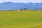 Wide Open Valley Grassland and Mountains