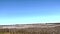 Wide pan of a cotton plantation and  clear blue sky in the fall