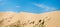 A wide panorama of a large dune with a small silhouette of people walking on it against the blue sky