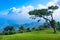 Wide panorama from tourist lookout mountain ranges and hills covered by evergreen cold rain-forests mountain range at the west of