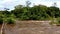 Wide panorama of tropical river in the African jungle