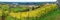 Wide panorama of Vineyards surrounding castle Riegersburg, Styria, Austria