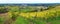 Wide panorama of Vineyards surrounding castle Riegersburg, Styria, Austria