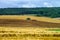 Wide panoramic view of colorful field, nature and agriculture