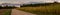 Wide panoramic view of farmland with the edge of a cornfield along a rural dirt road on an autumn evening. widescreen agricultural