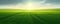 Wide panoramic view of green agricultural fields lit by the sun over horizon, minimalism natural background. Generative AI