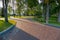 A wide park walkway with decorative green trees near the modern building