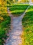 A wide path among the grass, strewn with fallen autumn leaves, is divided into two paths diverging in different directions. Autumn